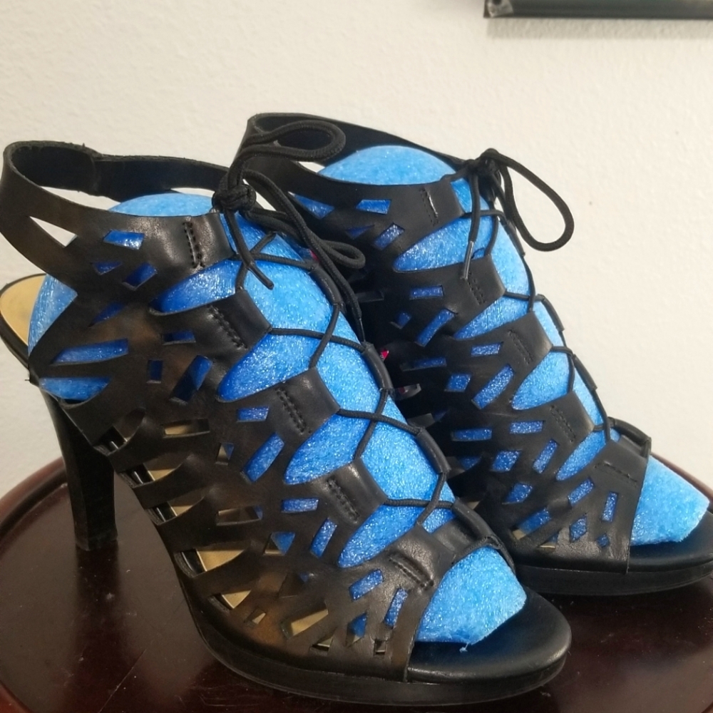 Coach and four heels